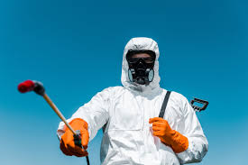 Best Residential Pest Control  in Royalton, MN